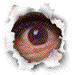 eyes
